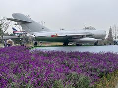 -成飞公园