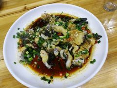 -全乐鱼馆·淳牌有机鱼直营店