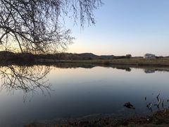 -驴世家驴肉火烧·凉皮·胡辣汤(五道口店)