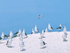 -海驴岛(荣成市)