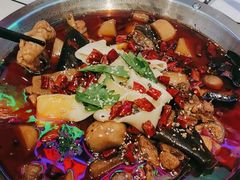 -晓彭肥肠鸡·泡椒鸡火锅(水木天地店)