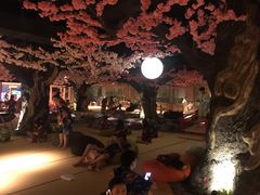 -蓝鲸湾汤泉(包河店)