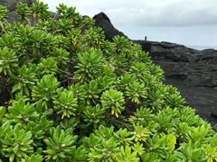 -夏威夷火山国家公园