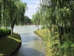 景点-上海鲜花港