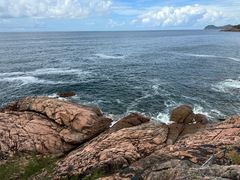 -广东惠东海龟国家级自然保护区