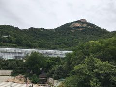 -石老人观光园