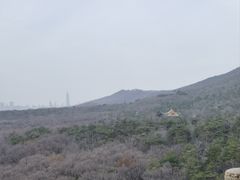 -灵谷景区