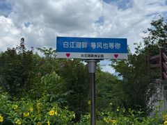 -广州白江湖森林公园