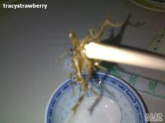苔藓-白家餐厅(徐家汇店)