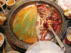 -蜀大侠火锅(总府路店)