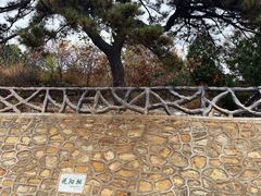 -北京西山国家森林公园