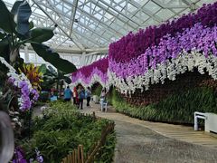 -石家庄市植物园