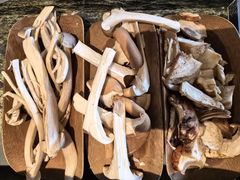 -芸山季·云南山珍菌火锅(南翔印象城MEGA店)