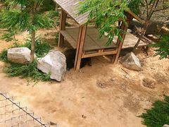 -石家庄市动物园