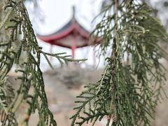 -九华山公园