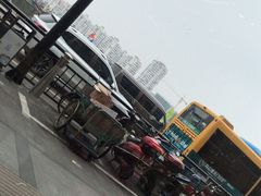 -渔中舟海鲜大排档(普陀沈家门店)