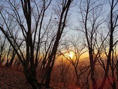 -帽儿山国家森林公园