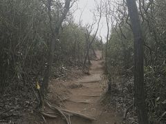 -白马涧龙池景区