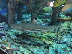 -石林冰雪海洋世界