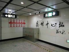 -奥体中心(地铁站)