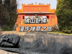 -三水森林公园