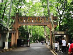 -灵谷景区