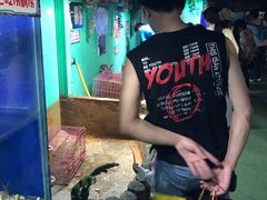 -白鹿仓冰雪海洋世界