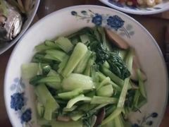 -田螺阿姨自营月嫂·育儿嫂(高新店)