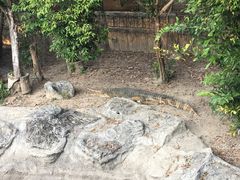 -清迈夜间动物园