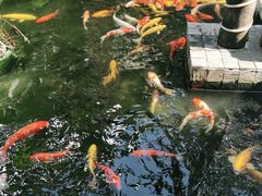 -三亚亚龙湾五号度假别墅酒店