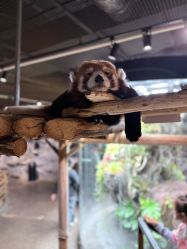 -Zoolung Zoolung动物主题公园(海信广场店)