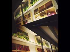 -夫妻肺片·中华老字号·正宗川菜(春熙路店)