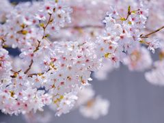 -龙美术馆(西岸馆)