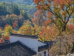 -塔川景区