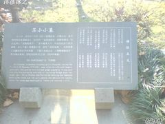 -杭州西湖风景名胜区-钱塘苏小小之墓