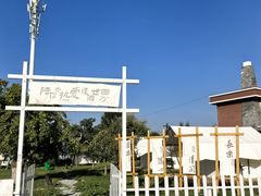 -梨苑林卡金陵山水酒店