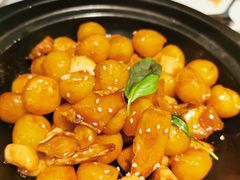 -玉玲珑(陆家嘴店)