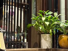 -雷神拉面(财富中心玉米楼店)