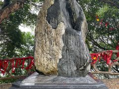 -广州市帽峰山景区