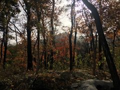 -阳台山自然风景区