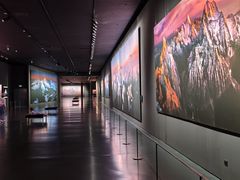 -罗红摄影艺术馆