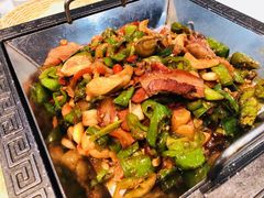 -邵年鸽(杨庄店)
