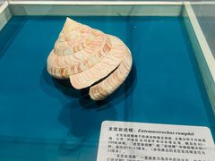 -青岛贝壳博物馆