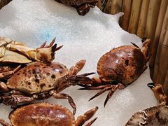 -川骄海鲜自助(河东店)