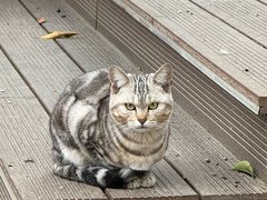 -东钱湖小普陀景区