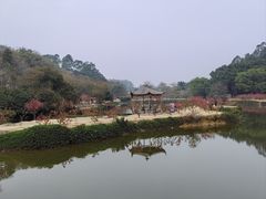 -南国桃园旅游度假区