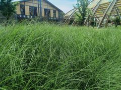 -中国天府农业博览园