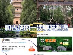 -灵谷景区