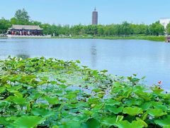 -西海子公园