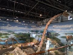 -自贡恐龙博物馆